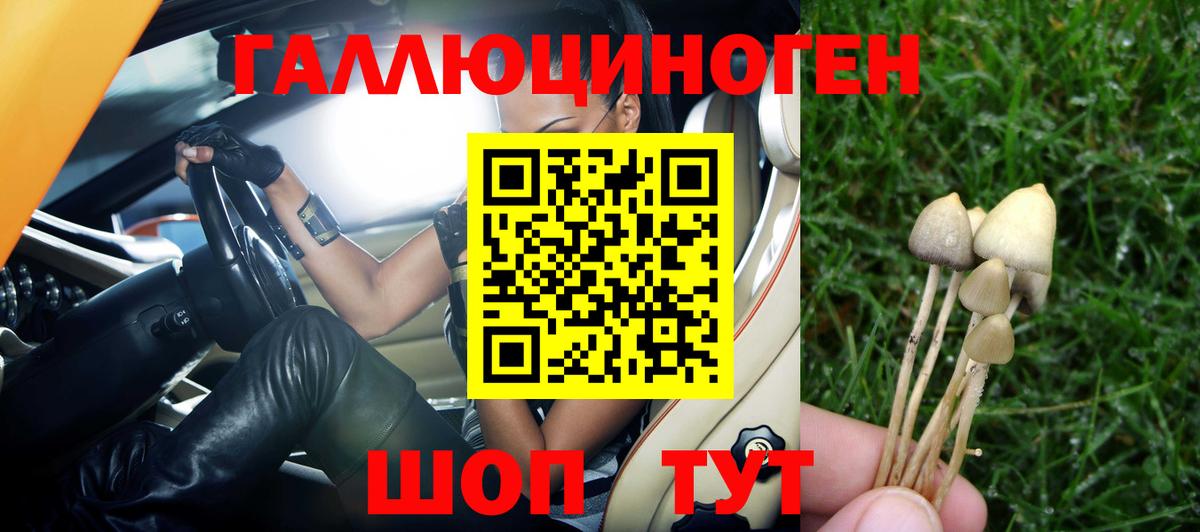 Железноводск  Галлюциногенные грибы мицелий  хочу   Галлюциногенные грибы ЛСД  Вход с VPN 